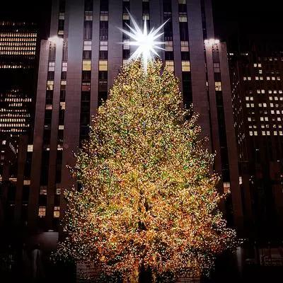 19年纽约的圣诞季要到了！洛克菲勒著名的圣诞树已经落地-安徽荣帝灯饰