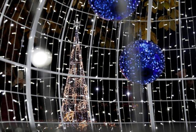 马德里皇家植物园点亮圣诞彩灯