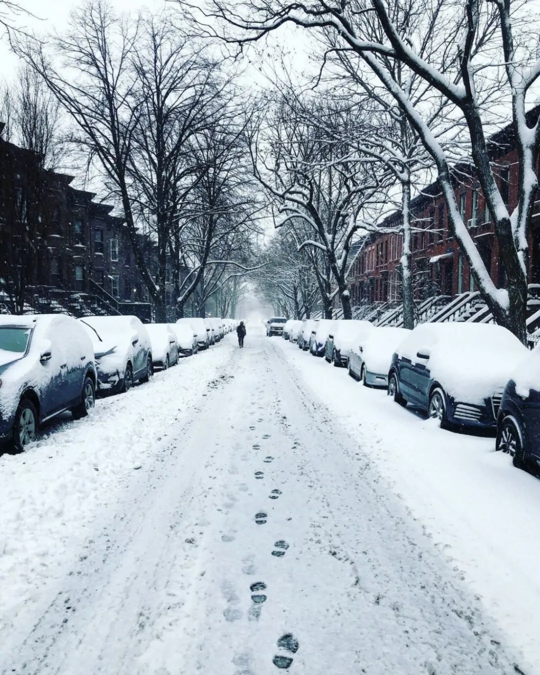 大雪封城没在怕的, 硬核纽约人表示: 正好能雪中作乐-安徽荣诚灯饰